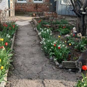 Продается Дом, 60 м²