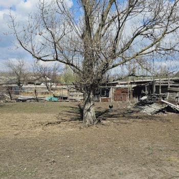 Продается Участок, 501 м²