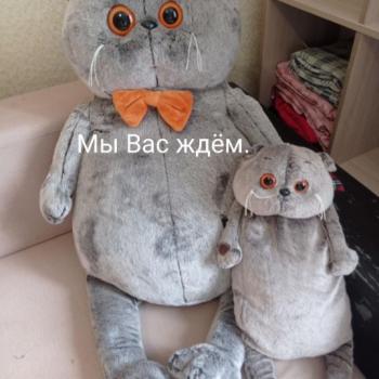 Сдается Комната, 20 м²