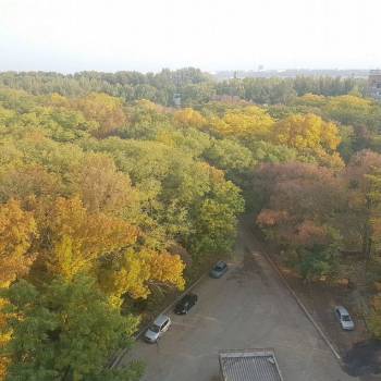Сдается 2-х комнатная квартира, 67 м²