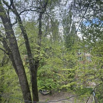 Сдается 1-комнатная квартира, 17,6 м²