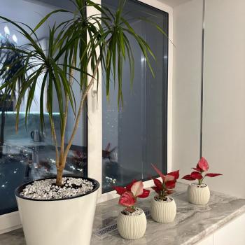 Продается 1-комнатная квартира, 40 м²
