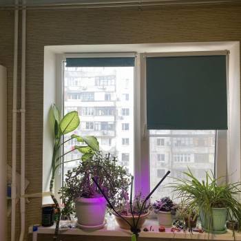 Сдается Многокомнатная квартира, 68 м²