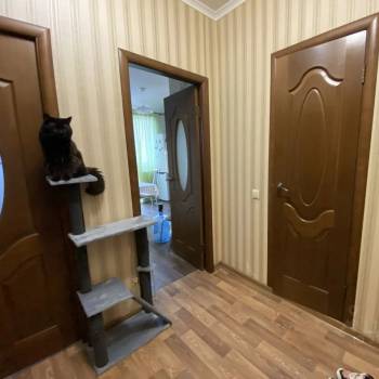 Сдается 1-комнатная квартира, 45 м²