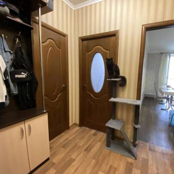 Сдается 1-комнатная квартира, 45 м²