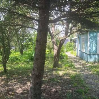 Продается Участок, 600 м²