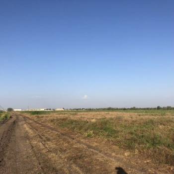 Продается Участок, 25000 м²