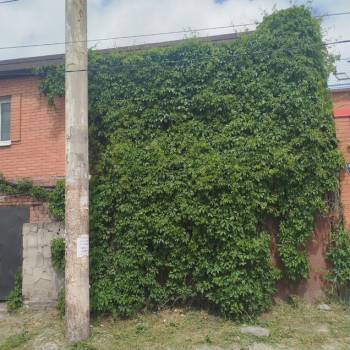 Продается Участок, 600 м²