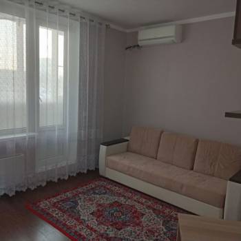 Сдается 1-комнатная квартира, 24,5 м²