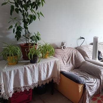 Сдается Комната, 14 м²