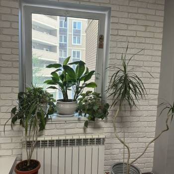 Сдается Офис, 35 м²