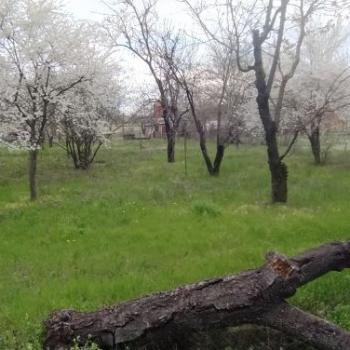 Продается Участок, 600 м²
