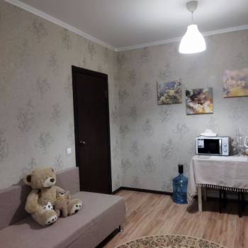 Продается 1-комнатная квартира, 27,8 м²