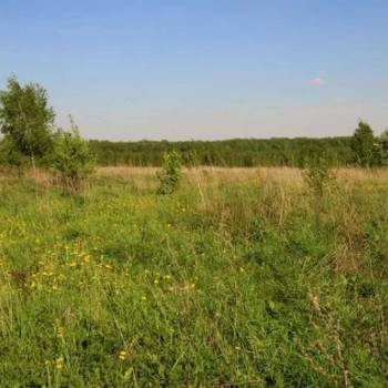 Продается Участок, 510 м²