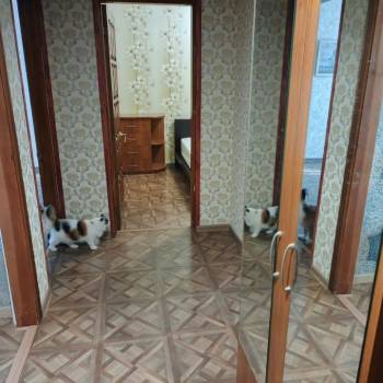 Сдается Многокомнатная квартира, 65 м²
