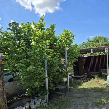 Продается Дом, 58 м²