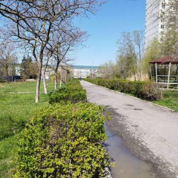 Сдается 2-х комнатная квартира, 47 м²