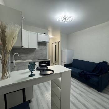 Продается 1-комнатная квартира, 24,3 м²