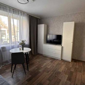 Сдается 1-комнатная квартира, 22,3 м²