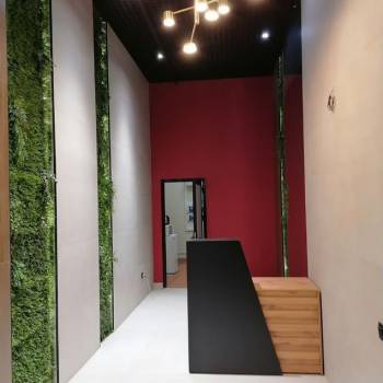 Сдается 1-комнатная квартира, 24,4 м²