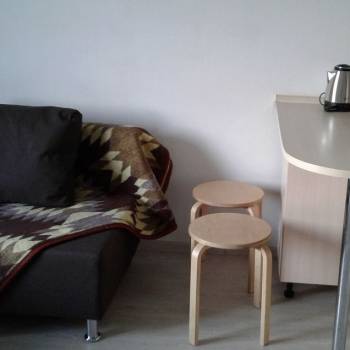 Сдается 1-комнатная квартира, 24,5 м²