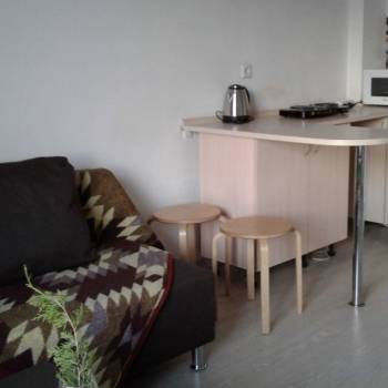Сдается 1-комнатная квартира, 24,5 м²