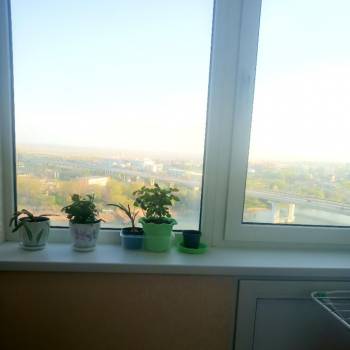 Сдается 1-комнатная квартира, 28 м²