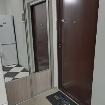 Сдается 1-комнатная квартира, 24,5 м²