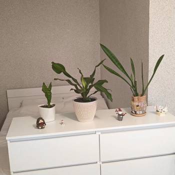 Продается 1-комнатная квартира, 38,3 м²