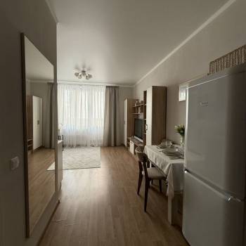 Продается 1-комнатная квартира, 24,6 м²