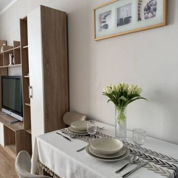 Продается 1-комнатная квартира, 24,6 м²