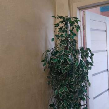 Продается 2-х комнатная квартира, 33 м²