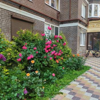 Сдается 2-х комнатная квартира, 42 м²
