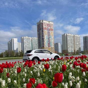 Сдается 2-х комнатная квартира, 72 м²