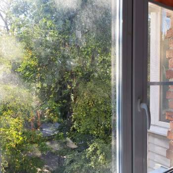 Сдается Комната, 13 м²
