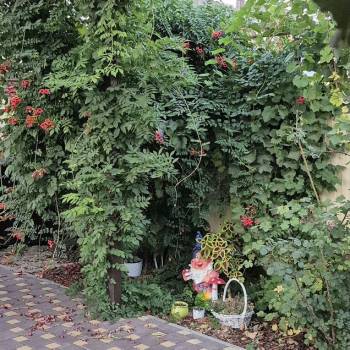 Продается Дом, 76 м²
