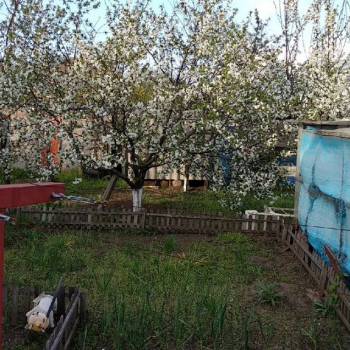 Продается Дом, 20 м²