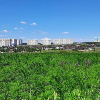 Продается Участок, 510 м²