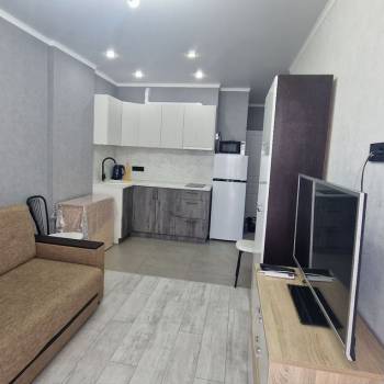 Сдается 1-комнатная квартира, 26,7 м²
