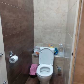 Сдается Нежилое помещение, 240 м²