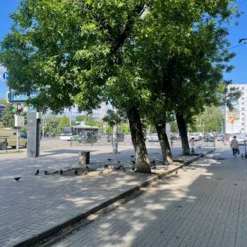 Сдается Нежилое помещение, 445 м²