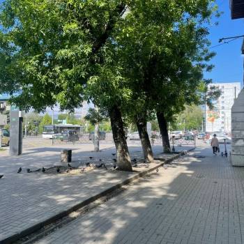 Сдается Нежилое помещение, 445 м²