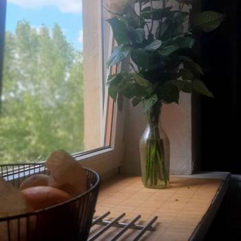 Сдается 1-комнатная квартира, 41 м²