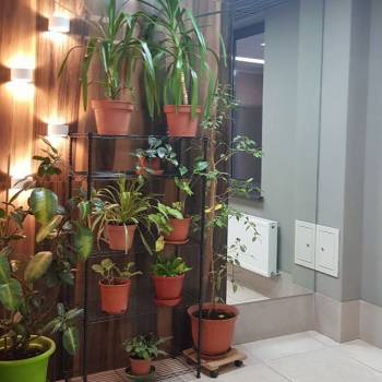 Продается 1-комнатная квартира, 30,2 м²