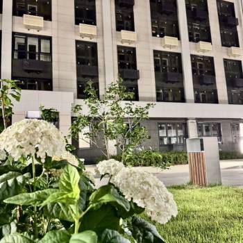 Продается 1-комнатная квартира, 27,2 м²