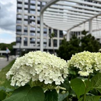 Продается 1-комнатная квартира, 27,2 м²