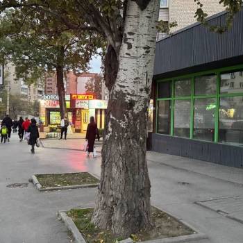 Сдается Нежилое помещение, 35,4 м²
