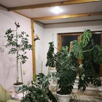 Сдается Многокомнатная квартира, 120 м²