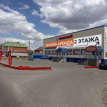 Сдается Нежилое помещение, 240 м²