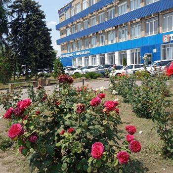 Сдается Офис, 174 м²